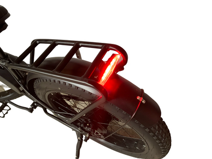 26" 1000W Fat Tire Electric E-Bike – Li-Battery Snow & Mountain Bike