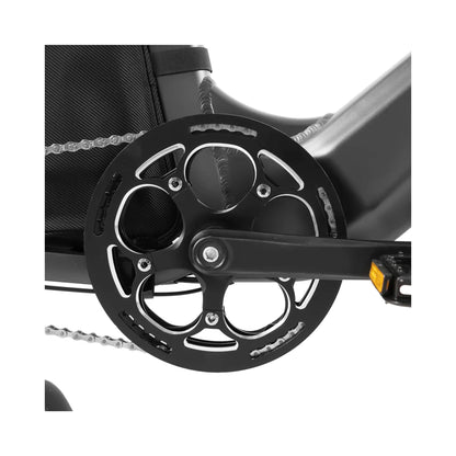 Coswheel HQ20 48V/20AH 1300W Electric All-Terrain Cargo Bike