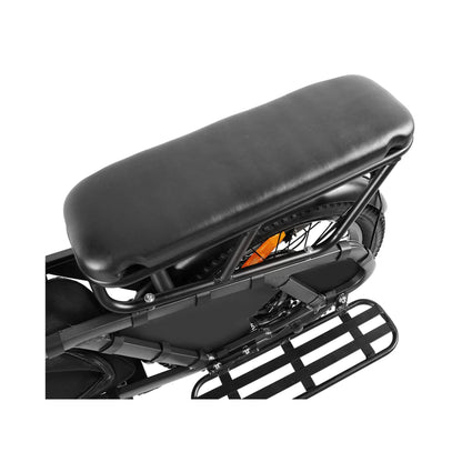 Coswheel HQ20 48V/20AH 1300W Electric All-Terrain Cargo Bike