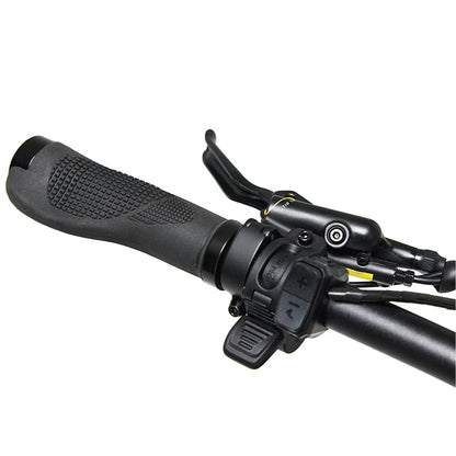 Bakcou Flatlander SD Electric Bike