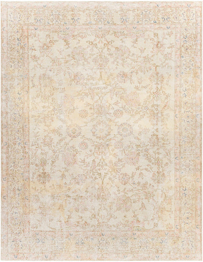 The Aimes Rug